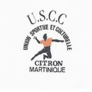Logo USC CITRON