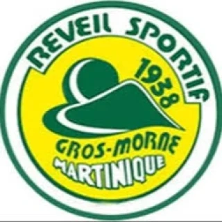 Logo REVEIL SPORTIF DU GROS MORNE HANDBALL