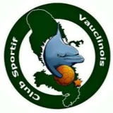 Logo CS VAUCLINOIS