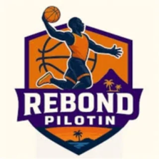 Logo REBOND PILOTIN