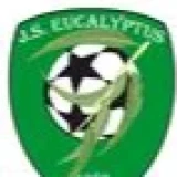 Logo JS EUCALYPTUS